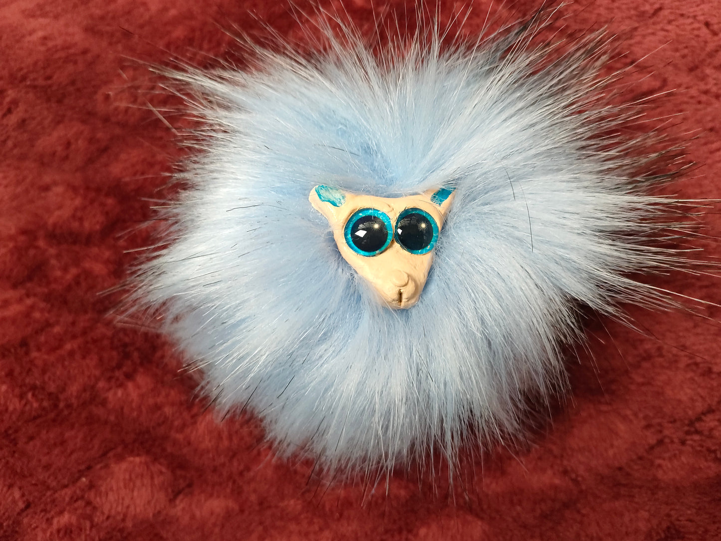 Câlin le Boubou