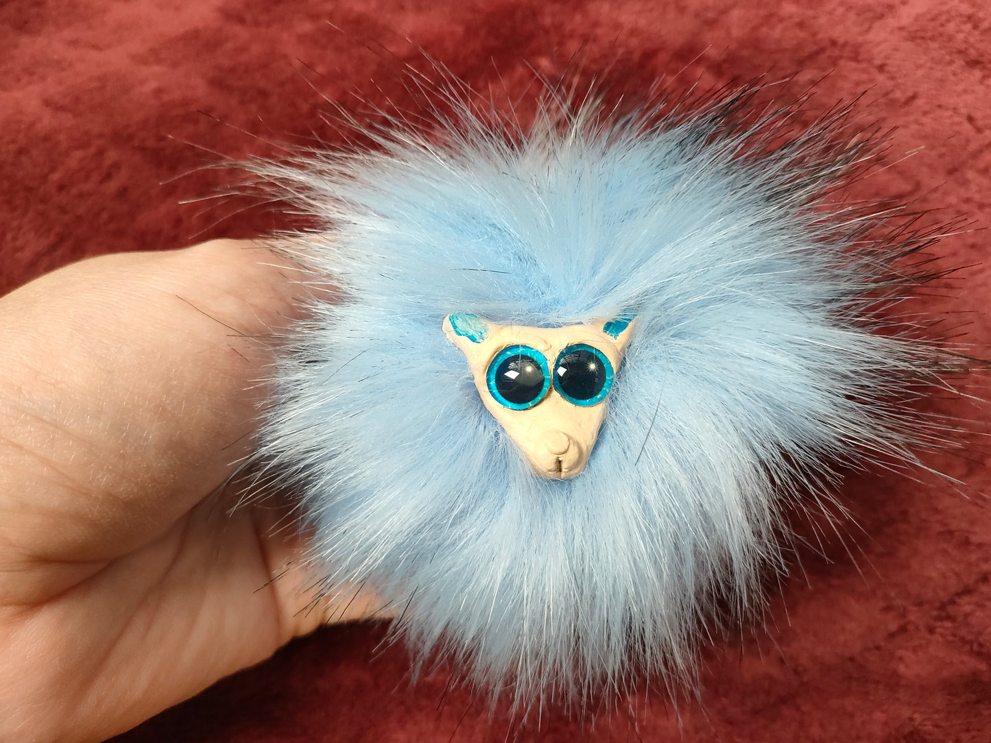 Câlin le Boubou