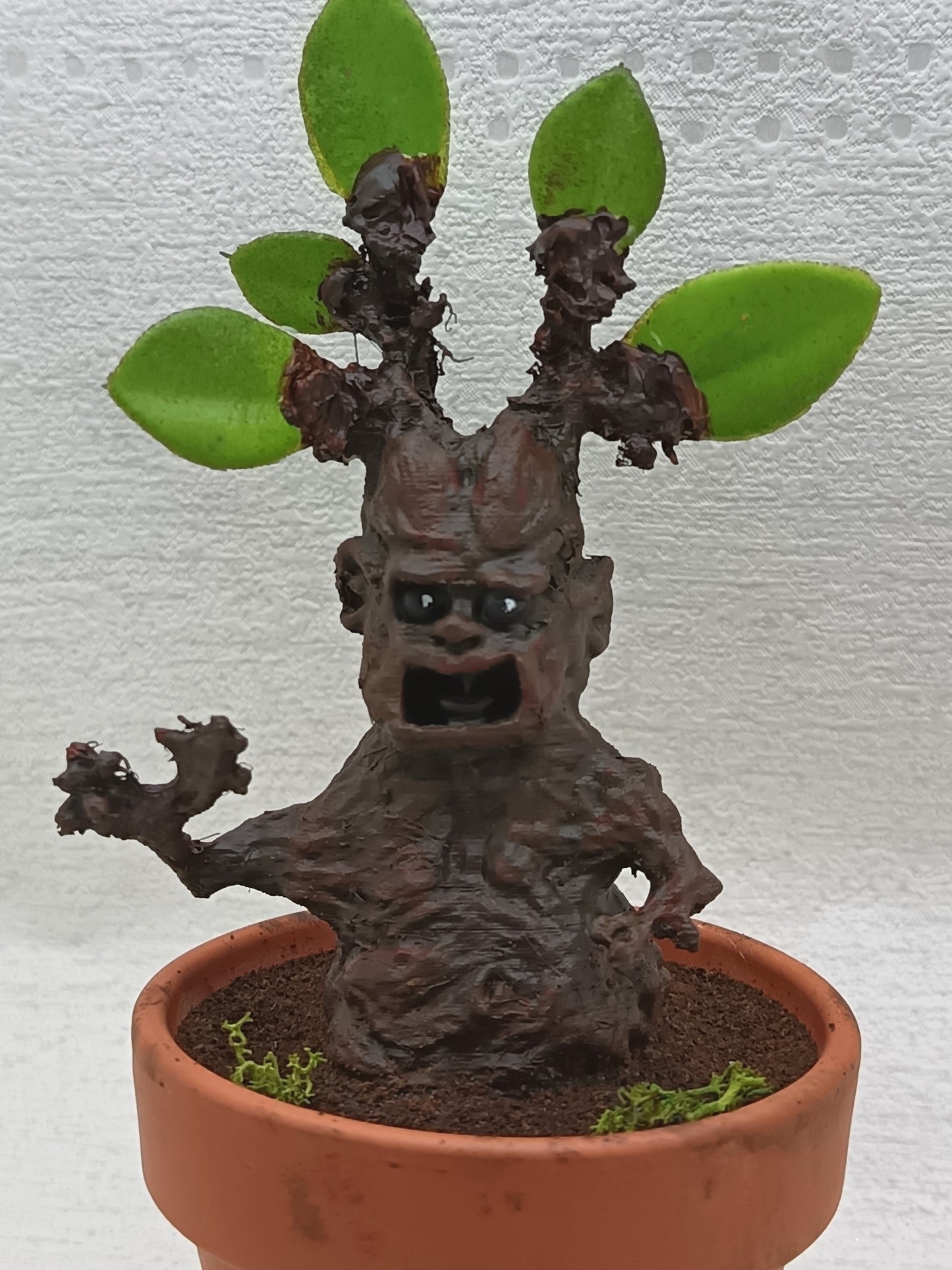 Mandragore 16cm