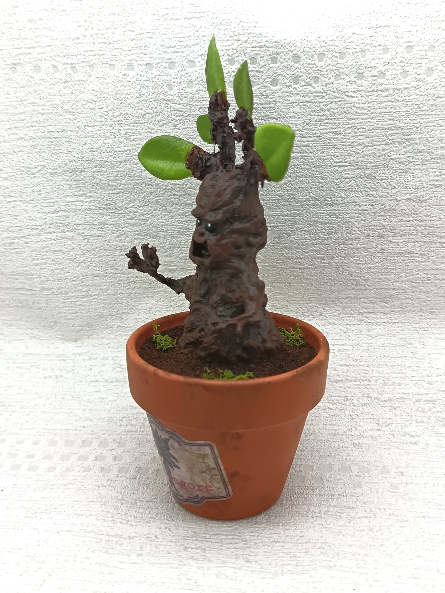 Mandragore 16cm