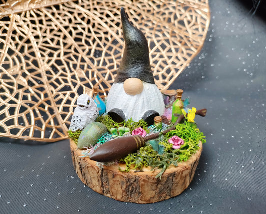 Diorama gnome sorcier