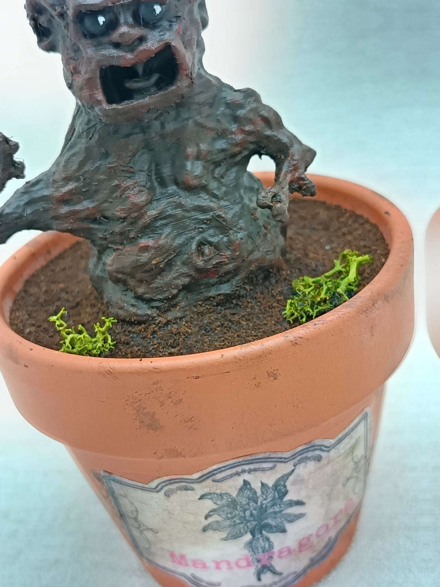 Mandragore 16cm